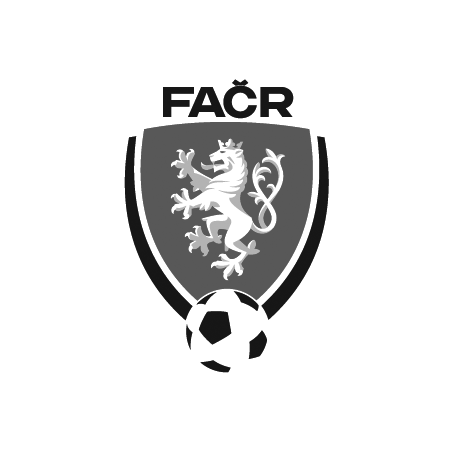 Fotbal
